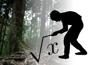 平方根，数学，根，x，未知，树，一个人，轮廓