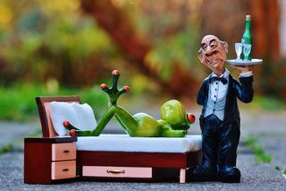 青蛙，床，手术，管家，放松，休息，有趣，可爱