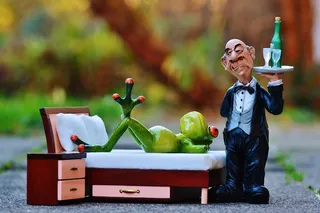 青蛙，床，手术，管家，放松，休息，有趣，可爱