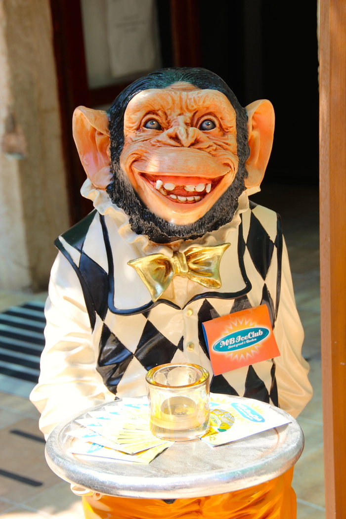 猴子, 管家, 操作, 服务员, 控制, 微笑, 前视图, 一个人