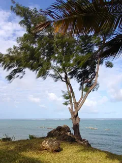 非洲,海洋,水,假日,波浪,自然,印度洋,海洋 非洲,海洋,水,假日,波浪,自然,印度洋,海洋