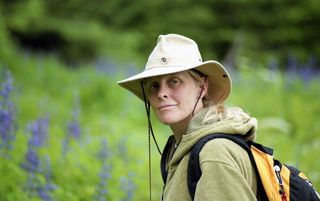 美国, 朱诺, 点布里奇特州立公园, 健康, 徒步旅行者, 徒步旅行, 布里奇特点国家公园, 阿拉斯加