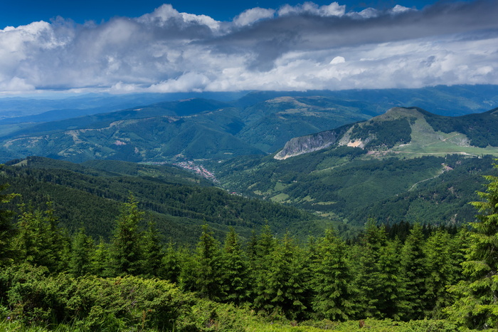 青山