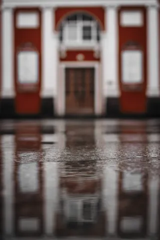 水坑中建筑的反思