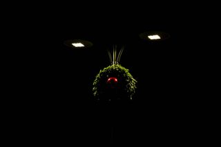 意大利、梅拉诺、博尔扎诺、圣诞灯、梅拉诺、圣诞节、圣诞节、红色、灯光