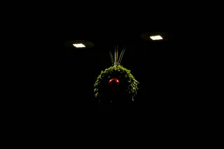 意大利、梅拉诺、博尔扎诺、圣诞灯、梅拉诺、圣诞节、圣诞节、红色、灯光