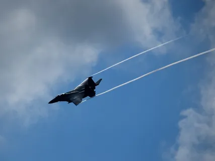 飞机，战斗机，喷气式飞机，天空，云天，飞行，低角度视图，野生动物