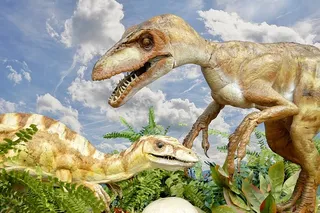 恐龙、蜥蜴、食肉动物、侏罗纪、动物主题、动物、灭绝、单一动物