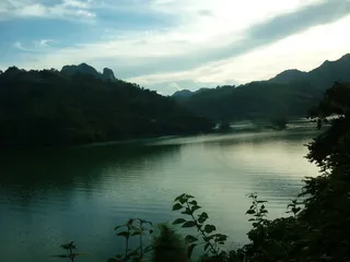 云、森林、景观、自然、植物、河流、天空、水