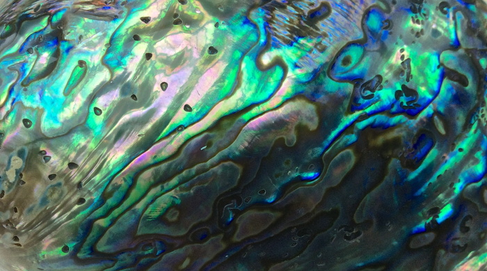 特写, 照片, 绿色, 蓝色, 抽象, 绘画, 抽象绘画, 外壳