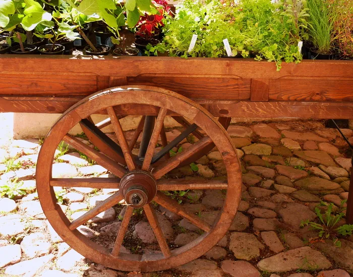 蔬菜，芹菜，大头菜，汤，蔬菜，汤菜，大头菜，欧芹