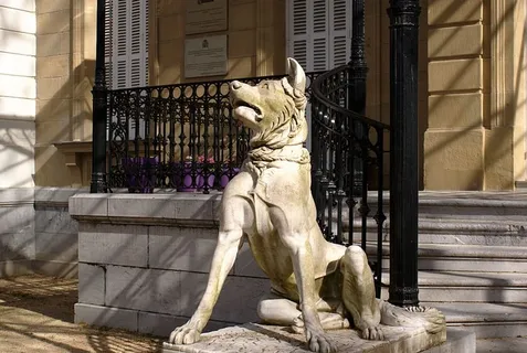 石像,狗,守护者,雕塑,艺术和工艺,表现,雕塑,创意 石像,狗,守护者,雕塑,艺术和工艺,表现,雕塑,创意