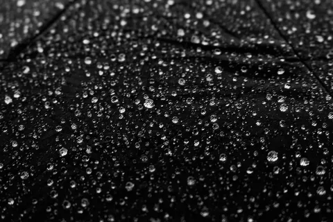 南非、比勒陀利亚、rademeyers、砾石、潮湿、水、植物、体验 南非、比勒陀利亚、rademeyers、砾石、潮湿、水、植物、体验