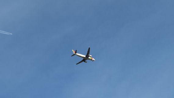 飞机，化学痕迹，轨迹，t，客机，天空，阴谋论，飞行器