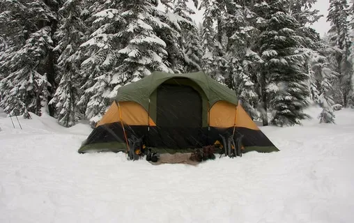 探险,露营,装备,徒步旅行,雪,帐篷,树,冬天 探险,露营,装备,徒步旅行,雪,帐篷,树,冬天