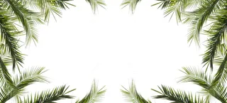 长方形，绿色，叶框，桌面，叶，树，自然，装饰