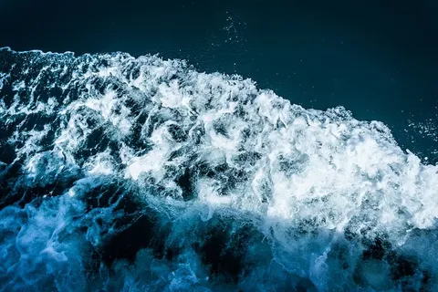 水体 水体