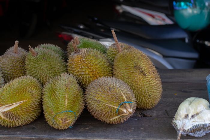 榴莲、水果、植物、农产品、食品、海洋生物、动物、海龟