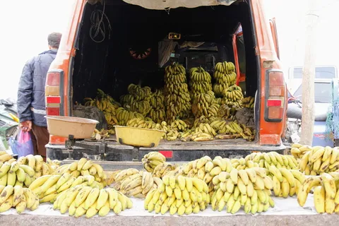 香蕉，市场，市场摊位，购买，水果，健康，维生素，营养