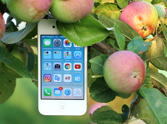 白色Iphone 4挂在树枝上
