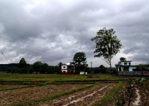 雨季，天空，云，自然，水，风景，夏天，风景