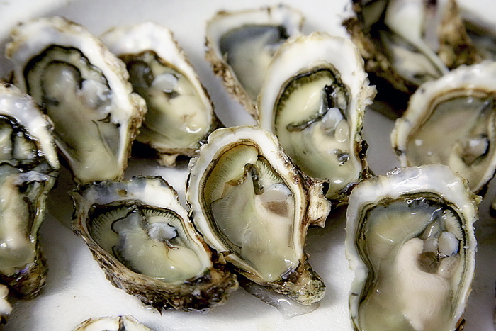 特写，摄影，开放，牡蛎，牡蛎，贝壳，海鲜，甲壳类动物