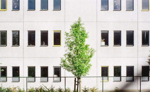 灰色混凝土建筑旁的绿叶树