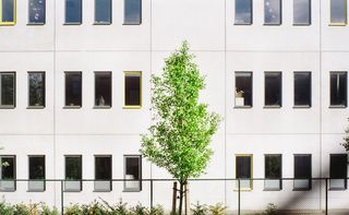 灰色混凝土建筑旁的绿叶树