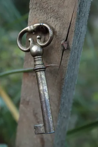 花园、时间、旧、钥匙、金属、特写、关注前景、安全