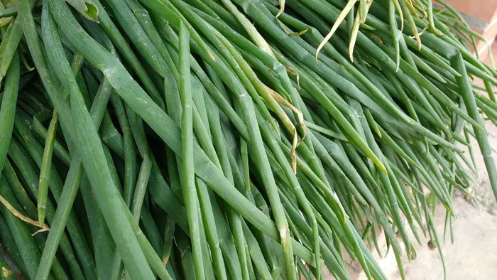 洋葱长，叶，绿，绿叶，植物，绿叶，洋葱芥菜，自然