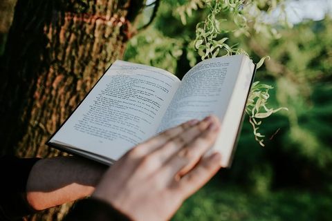 男人在户外看书