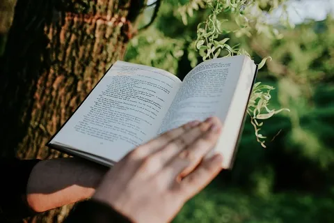 男人在户外看书