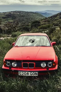 汽车，挡风玻璃，破碎，破碎，毁坏，红色，废弃，洞