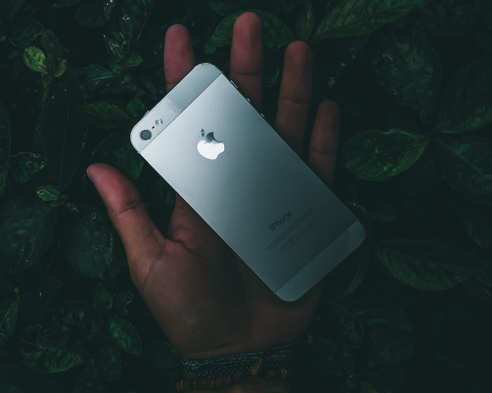 Iphone 5在人的手掌上