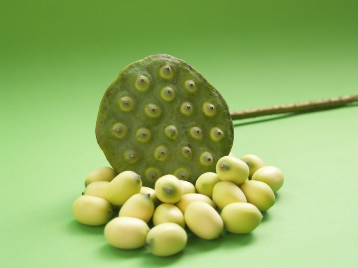 莲花、种子、花、叶、豆荚、印度、特写、孤立