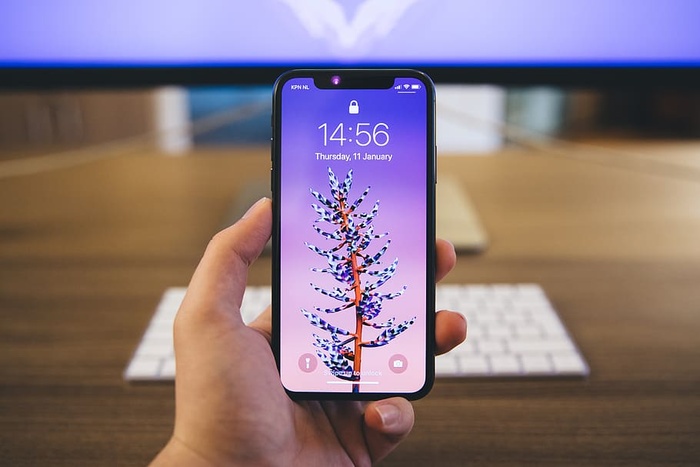 人拿着灰色的Iphone X