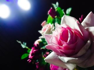 散景, 花, 粉红色, 绿色, 光, 光明, 首页, 房子