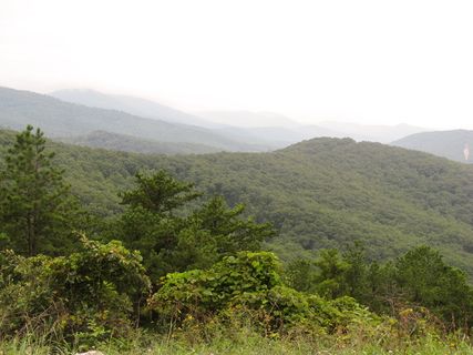 绿树，山，填充，绿色，叶子，树木，白色，天空