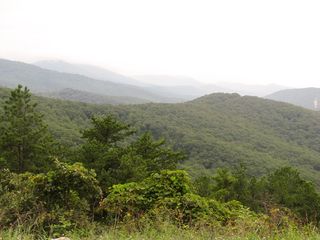 绿树，山，填充，绿色，叶子，树木，白色，天空