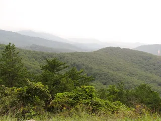 绿树，山，填充，绿色，叶子，树木，白色，天空