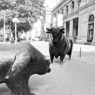 德国，美因河畔法兰克福，schillerstraße 11，法兰克福，股票市场，货币，动物，动物主题