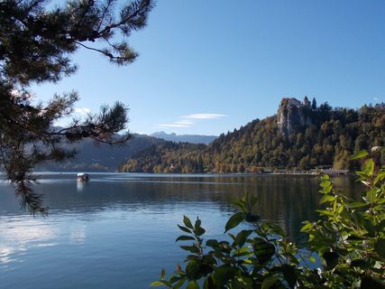 血，自然，湖，水，树，植物，自然之美，天空