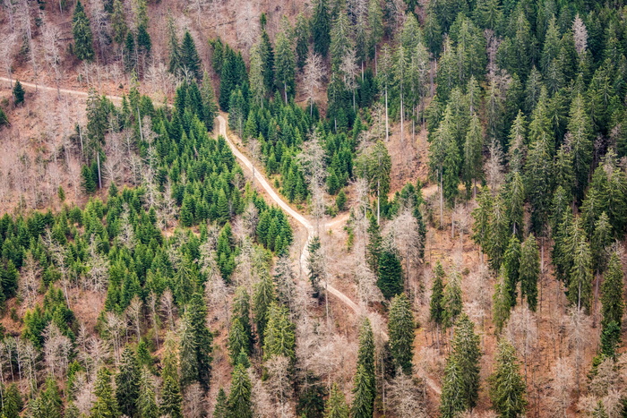 瑞士, creux du van, 普罗旺斯, 徒步旅行, 索尼, 索尼阿尔法, 索尼阿尔法 7ii, 街道