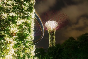 绿草，灯光，塔，夜间，建筑，设计，建筑，钢铁