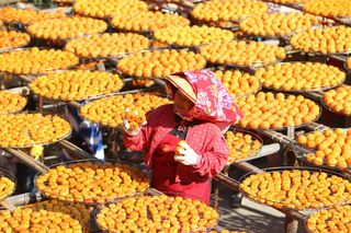天然、性格、女性、水果、柿子、食品和饮料、食品、新鲜度