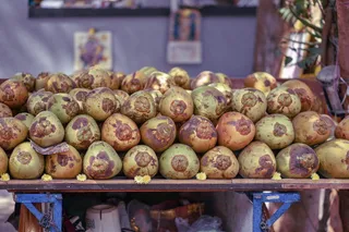 椰子水果, 厂, 生产, 餐饮, 蔬菜, 芜菁, 塑像, 大头菜