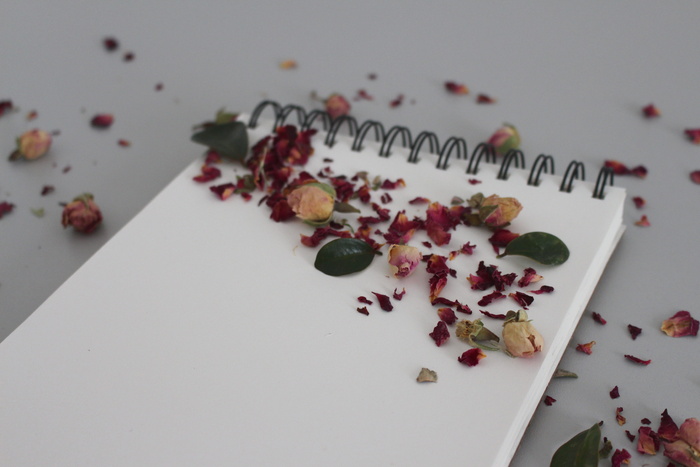 花，笔记本，笔记，打开，空，纸，写，写下来