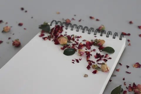 花,笔记本,笔记,打开,空,纸,写,写下来 花,笔记本,笔记,打开,空,纸,写,写下来