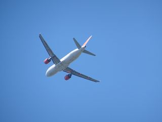 飞机，机翼，飞行，天空，晴朗，飞机，机翼，空中，客机