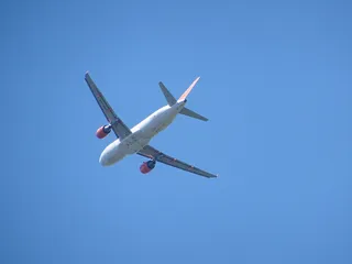 飞机，机翼，飞行，天空，晴朗，飞机，机翼，空中，客机